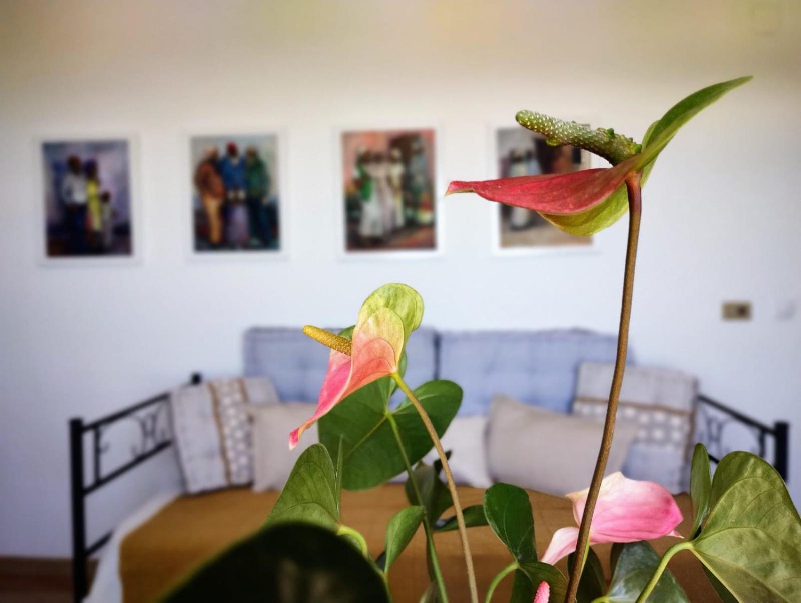 Casa Arte De Sorvilan Ngoại thất bức ảnh